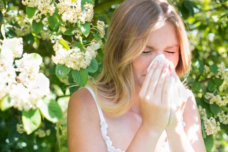 Pollen allergie luftreiniger luftwäscher
