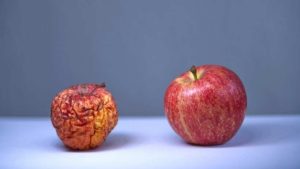 Ein schrumpeliger Apfel zeigt, dass trockene Luft unserer Haut nichts Gutes tut.