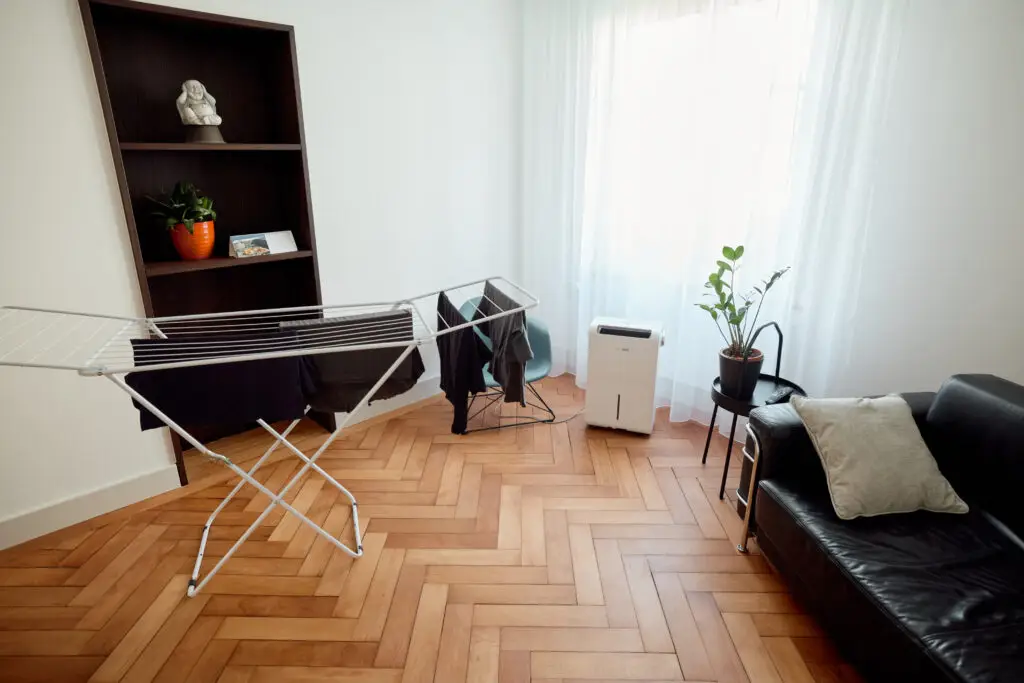 Ecoq dryair 35l es livingroom wideangle 4