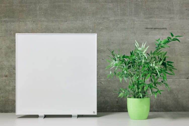 Ecofort blog: wie teuer ist eine infrarotheizung im betrieb? - ecoheat basic panel auf standfüssen neben einer pflanze