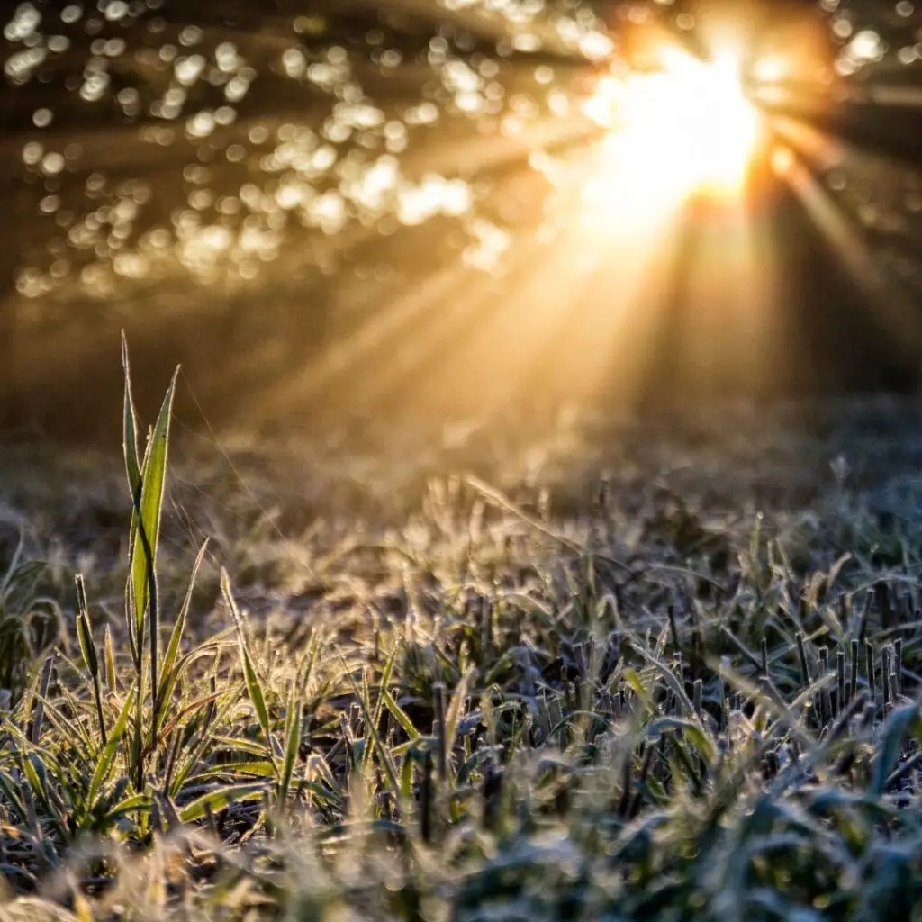 Infrarotheizungen mit Konvektion – Eine energieeffiziente und kostengünstige Heizlösung 2 Sonnenstrahlen auf der haut infrarotheizungen