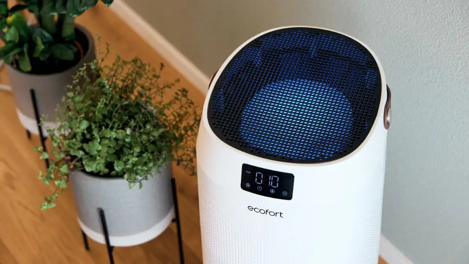 Luftreiniger gegen pollen, allergiker, weltallergietag/ purificateur d'air contre le pollen, journée mondiale de l'allergie