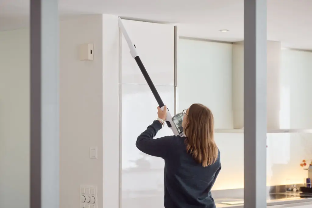 10 Tipps gegen Ameisen: Was hilft wirklich? 3 Ecoq cleanvac easy crevice nozzle extended 3
