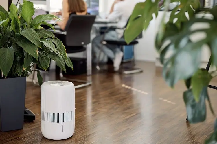 10 Gründe, warum ein Luftbefeuchter sinnvoll ist 14 Befeuchter ecoq humidair e600+ | humidificateur ecoq humidair e600+