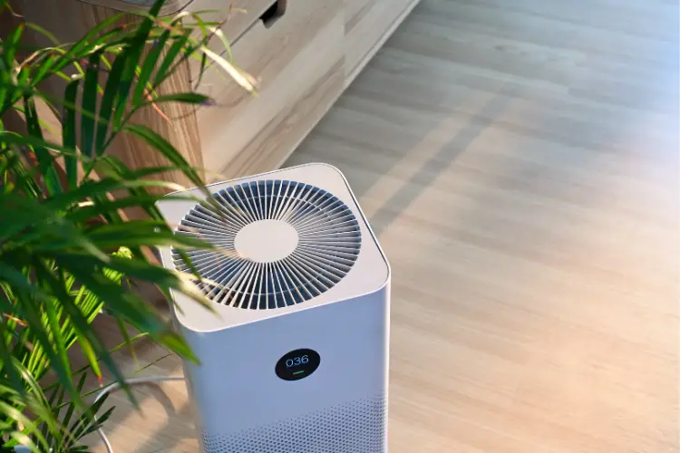 Ionisatoren in Luftentfeuchtern und Luftreinigern: Unbedenklich trotz Ozonbildung? 1 Ionisatoren in luftreiniger, ionisateurs dans les purificateurs d'air