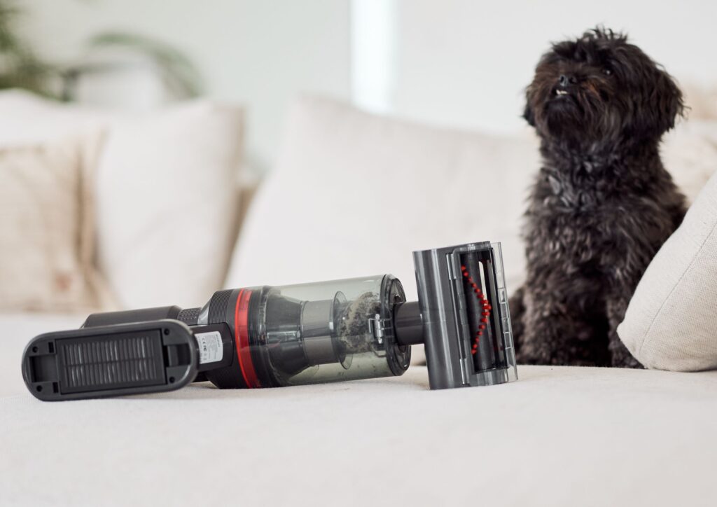 Fellwechsel im Frühling bei Haustieren 3 Fellwechsel im frühling. Der ecoq cleanvac pro animal akkustaubsauger