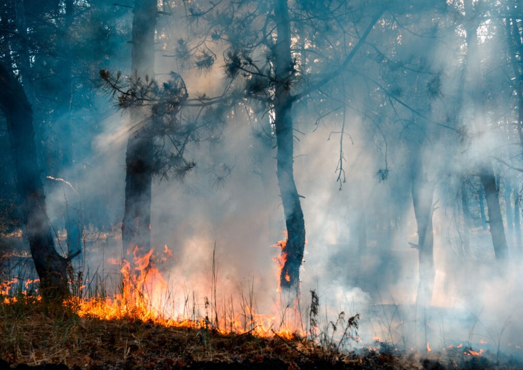 Raumklima unter Einfluss: Wie Waldbrände in Kanada unsere Luft belasten 1 Auch waldbrände auf anderen kontinenten haben auswirkungen auf das raumklima