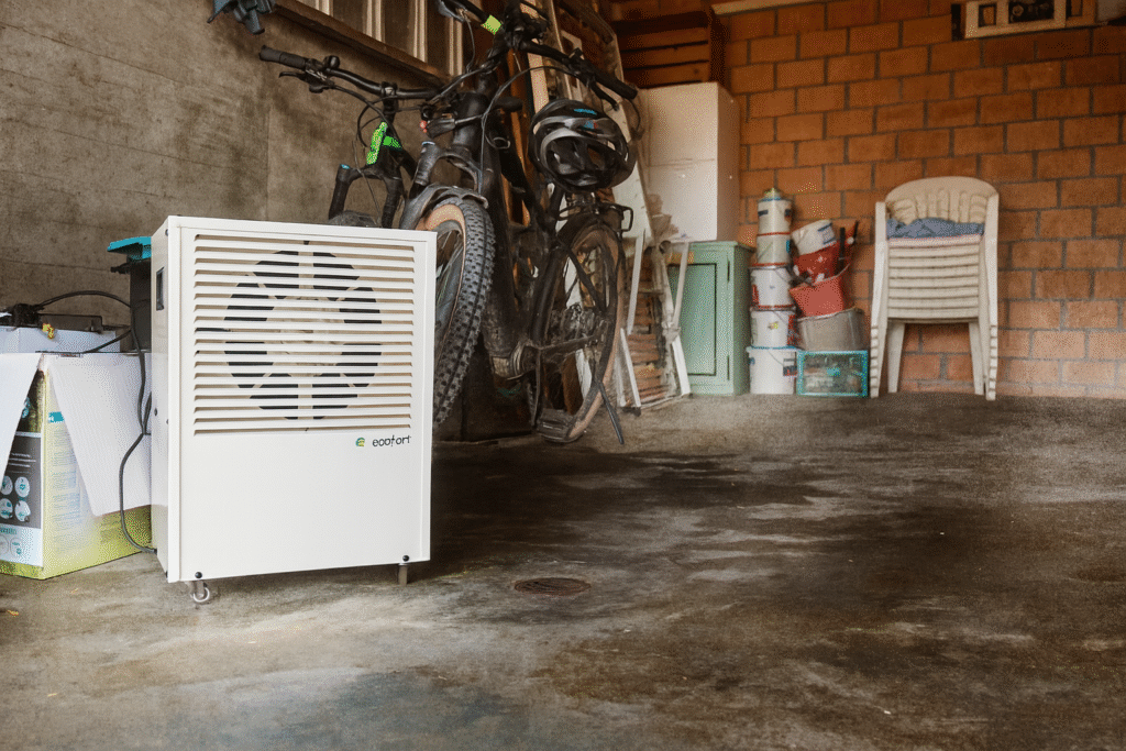 Feuchten keller trocken halten und vor schimmel schützen mit ecodry luftentfeuchter